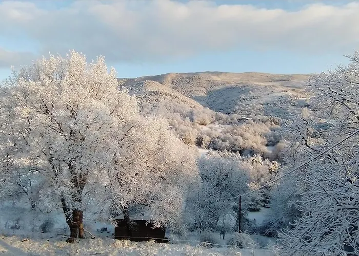 De Saint-ribert 6 Pièces Hébergement de vacances